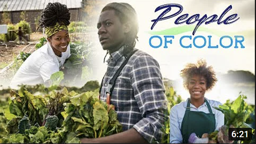 Click image for larger version

Name:	image.png
Views:	38
Size:	764.3 KB
ID:	1794