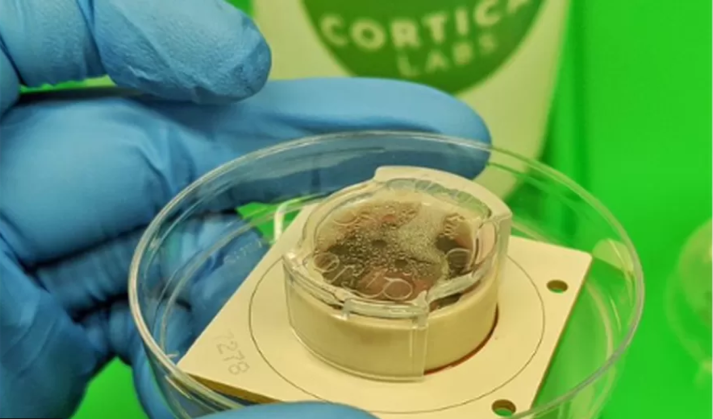 Click image for larger version

Name:	image.png
Views:	74
Size:	972.2 KB
ID:	3140